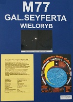 Galaktyka SEYFERTA Wieloryb, odlego 47 mln lat wietlnych 